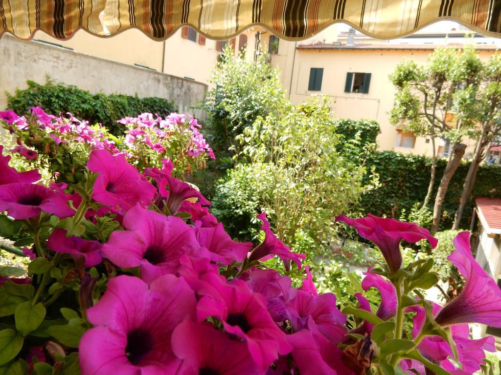 Villa Gini Pisa Exteriér fotografie
